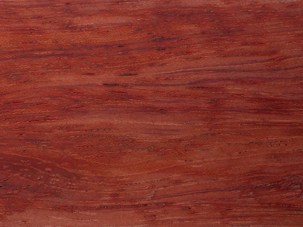 Деревянная текстура падука, рисунок падука — стоковое фото