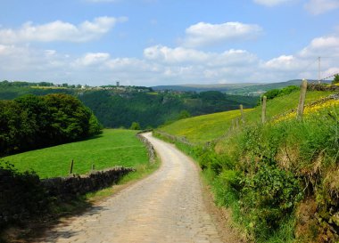 uzun kavisli arnavut kaldırımlı taş yol uzak ve bulutlar ile mavi gökyüzü ormanlık vadi ile yeşil yaz çayırları ile güzel yorkshire dales kırsal yokuş aşağı çalışan