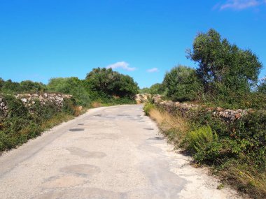 menorca tipik bir dar ülke yol çevreleyen alanlar ve parlak mavi güneşli yaz gökyüzü ile ağaçlar ile eski kuru taş duvarlar ile çevrili