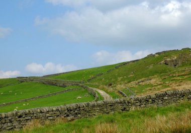 uzaklık ve maruz kayalar akan küçük bir yol ile dik bir tepeye kadar uzanan kuru taş duvarlar ile sınırlanmış alanlarda otlayan koyun ile kaba bir Yorkshire bozkır ve mera manzara