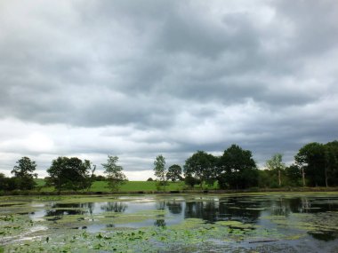Gri bulutlu gökyüzü ve ağaçlar ve çim ler boyunca tepeler kaplı sakin bir gölün kıyısının manzara görünümü suya yansıdı