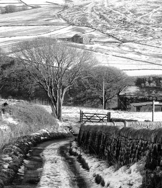 Kar Uzakta Pennine Tarım Arazisi Ile Kuru Bir Taş Duvar — Stok fotoğraf