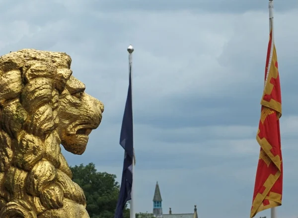 Estatuas León Dorado Perfil Que Decoran Histórico Ayuntamiento Rochdale Contra —  Fotos de Stock