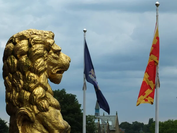 Estatuas León Dorado Perfil Que Decoran Histórico Ayuntamiento Rochdale Contra —  Fotos de Stock