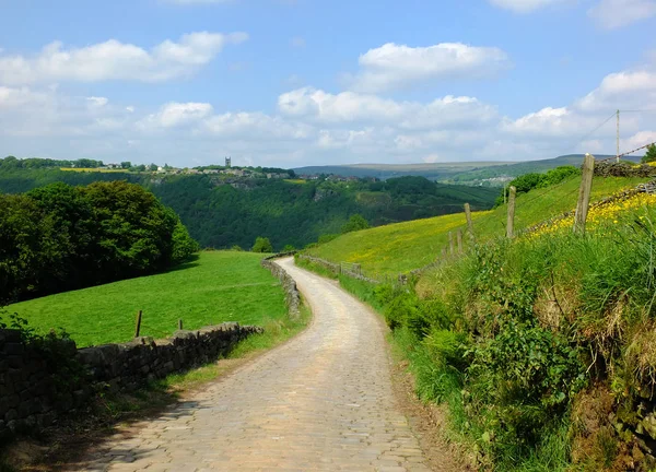 uzun kavisli arnavut kaldırımlı taş yol uzak ve bulutlar ile mavi gökyüzü ormanlık vadi ile yeşil yaz çayırları ile güzel yorkshire dales kırsal yokuş aşağı çalışan
