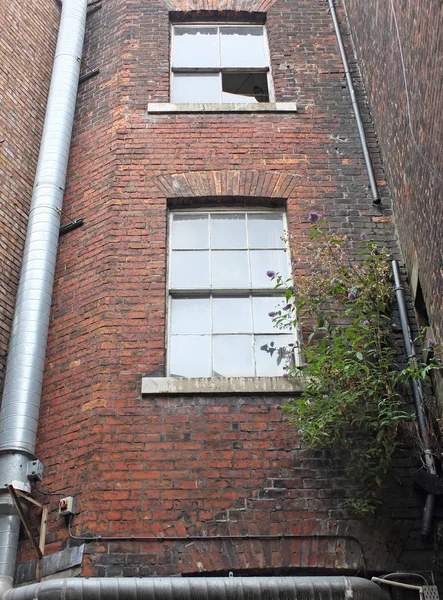 Vertical View Old Run Abandoned Tall Brick Building Broken Windows — Stock Photo, Image