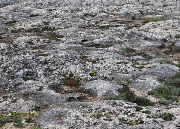 scenic view of a coastline with rock pools on the edge of a limestone beach