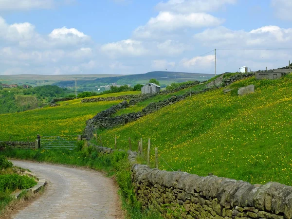 yorkshire dales kırsal taş duvarlar ve bahar çayırları ile çevrili yokuş aşağı giden bir ülke yolun bir köşe çiftlik evleri ve mavi gökyüzü ve beyaz bulutlar ile mesafe pennines ile kırsal