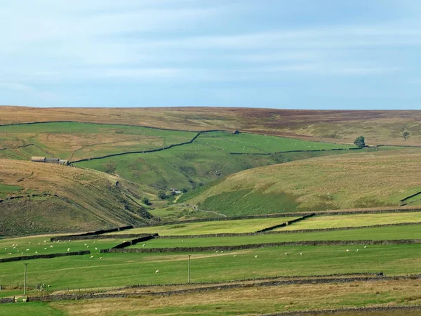 Tipik yorkshire dales taş duvarlar ve çiftlik evleri ve tarlalarda otlayan koyun ile tepeler arasında küçük vadiler ile panoramik güneşli pennine manzara