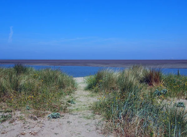 Grass Covered Sand Dune Banks River Wyre Fleetwood Lancashire Calm — Stock Photo, Image