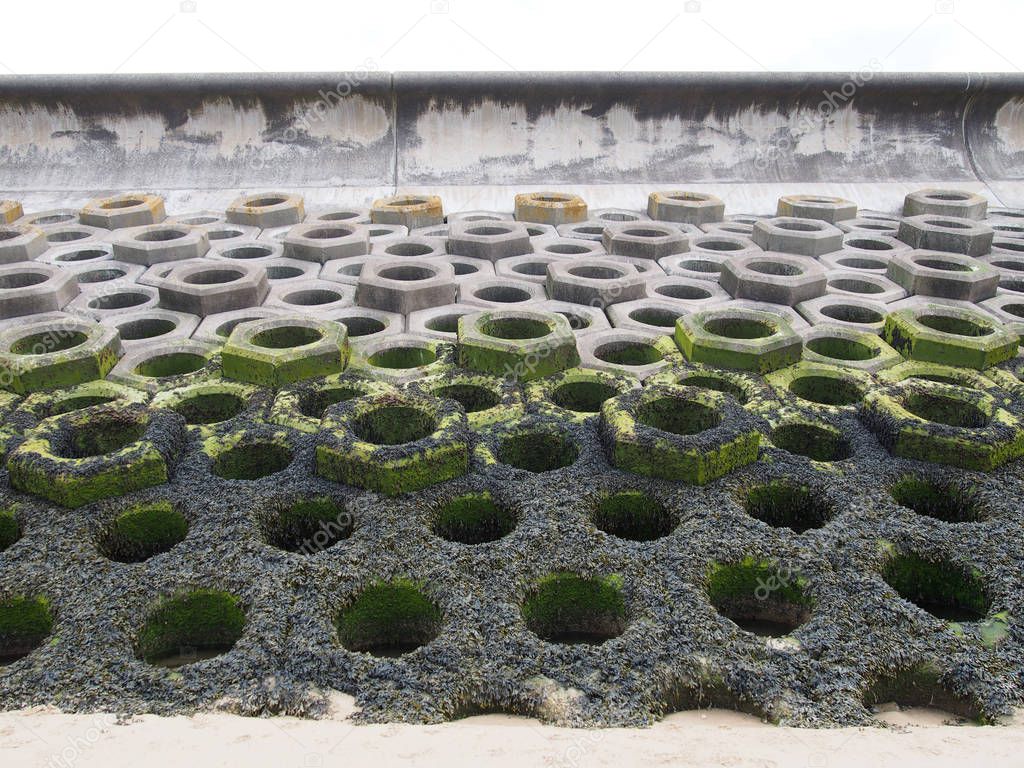 concrete defensive sea wall on a sandy beach showing seaweed on the high tide mark and the precast hexagonal construction