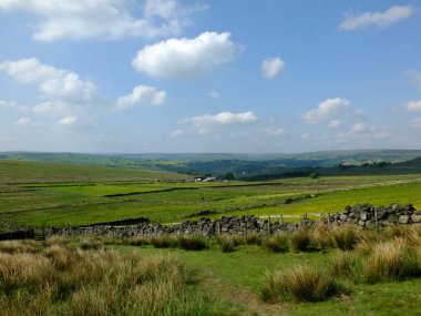kaldera batı Yorkshire'da bozkırkenarında bir patikanın doğal görünümü, uzaklıkta görülebilen otlaklar ve pennine tepeleri ile mera sınırı olan kuru taş duvarları olan kaba tussock otları ile