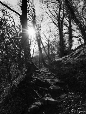 taş yol ve güneş ışığı, seçici odak