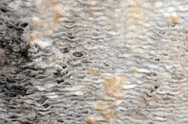 kireçtaşının kahverengi ve gri renkleri kireçlenme katmanlarından