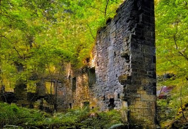 duvarlara yansıyan parlak güneş ışığı ile zemin ve eğrelti otları olsa büyüyen ağaçları ile parlak canlı yoğun yeşil ormanlık çevrili harap bir yüksek taş bina