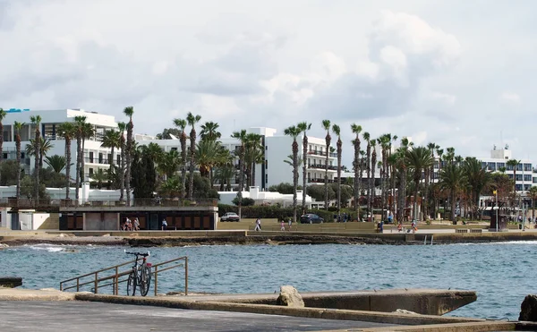Die Strandpromenade Und Der Hafen Paphos Zypern Mit Promenadenpalmen Und — Stockfoto