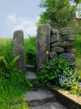 geleneksel taş kapı veya batı Yorkshire dales kırsal bir bahar yeşil çayır önünde çiçek ve eğrelti otları ile kuru bir taş duvarda stile