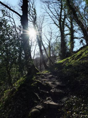 taş yol ve güneş ışığı, seçici odak