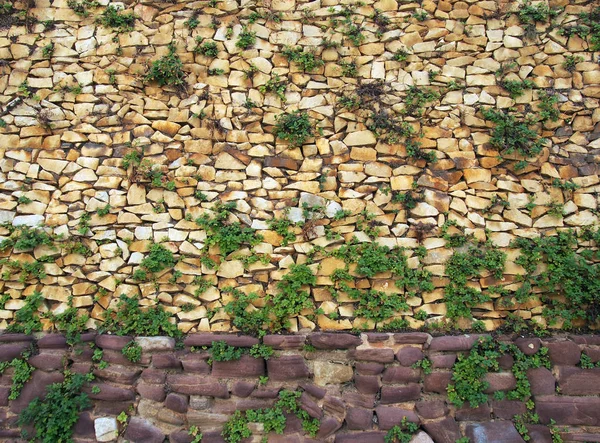 Een grote ruwe getextureerde onregelmatige bruine stenen muur met groen blad groeit tussen de scheuren — Stockfoto