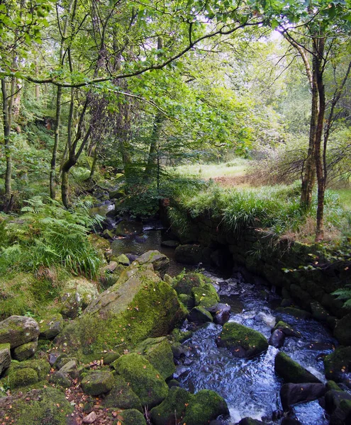 Fast flowing rocky woodland stream with overhanging trees and mo — Stock Photo, Image