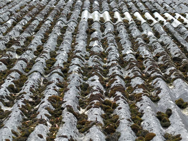 Alte Asbestdachziegel mit Moos und vertikale Dachziegel — Stockfoto