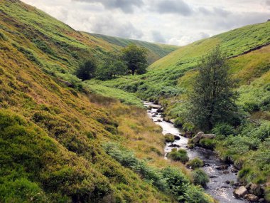 dağlarda akarsu, seçici odak