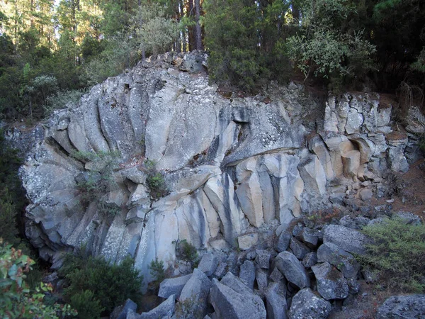 Rocas Bosque Enfoque Selectivo — Foto de Stock