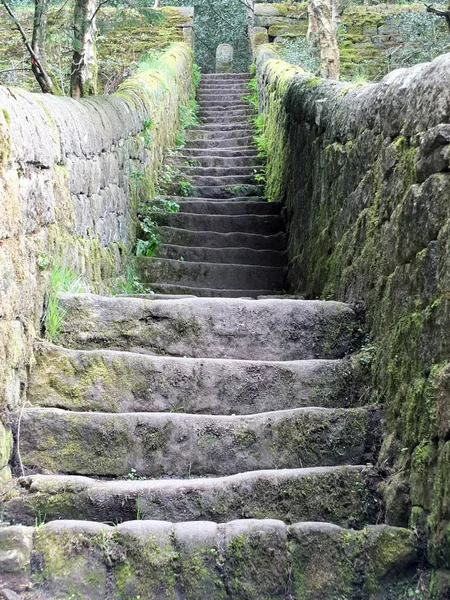 old steep stone steps with walls moss and surrounding vegetation