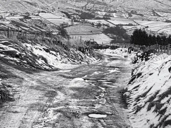 Yol Alanlar Seçici Odak — Stok fotoğraf