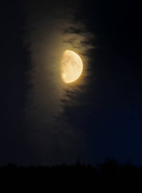 gökyüzünde ay, seçici odak