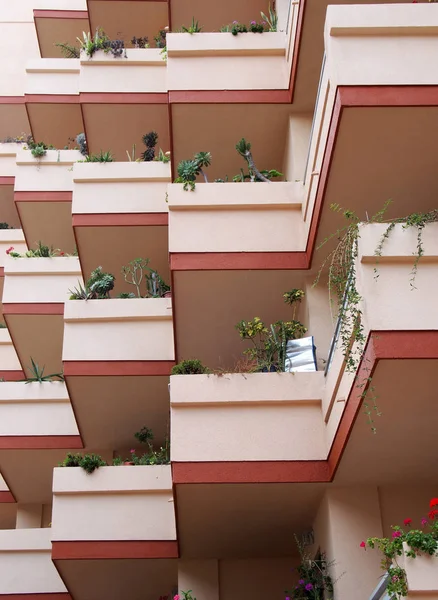 Ev bitkileri ile modern apartman üzerinde pembe balkonlar — Stok fotoğraf