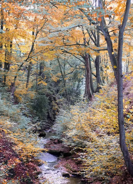 Forêt d'automne dans de belles couleurs saisonnières avec un ruisseau rocheux — Photo