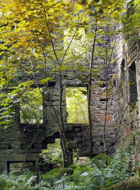 yıkılan duvarlar ve boş pencereler ile Hebden Köprüsü batı Yorkshire yakınında sonbaharda ağaçlar ve eğrelti otları ile büyümüş staups değirmen kalıntıları