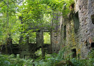 hebden köprüsü batı yorkshire yakınında yaz aylarında ağaçlar ve eğrelti otları ile büyümüş staups değirmen kalıntıları