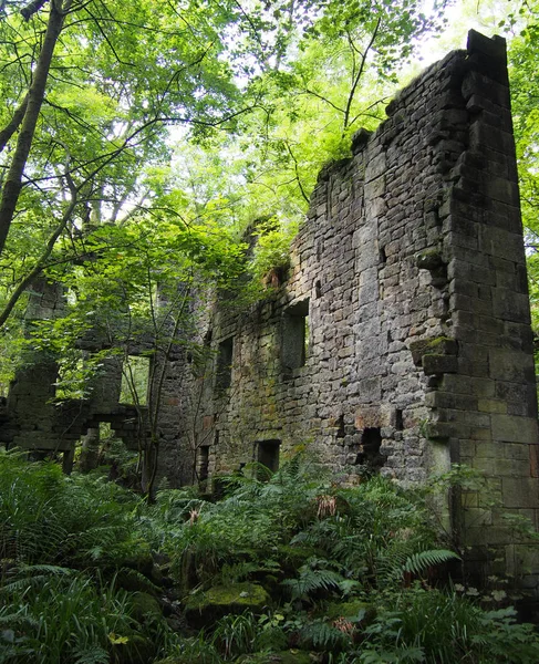 orman ağaçları ile büyümüş karmakarışık delik clough staups değirmen kalıntıları 