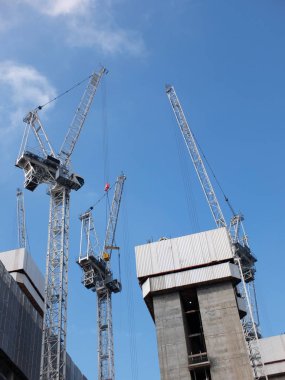 büyük bir gelişim alanında çalışan inşaat Vinçler