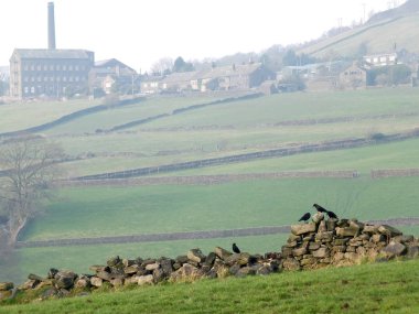 yamaç üzerinde görünür eski kent Köyü ile Batı Yorkshire peyzaj çim kaplı alanların önünde eski bir Kuru taş duvar üzerinde saplanmış kargalar