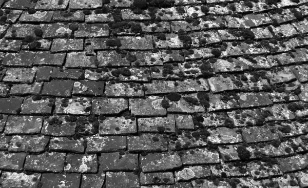 Monochrome image of old chipped roof tiles with moss in an overlapping pattern — Stock Photo, Image