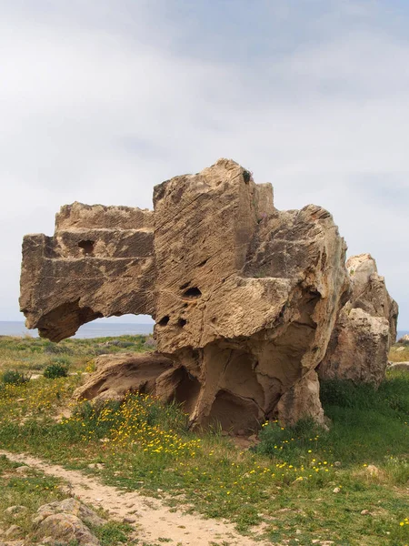 파포스 키프로스의 왕 지역의 무덤에 단계와 노출 된 조각 된 돌 무덤 — 스톡 사진