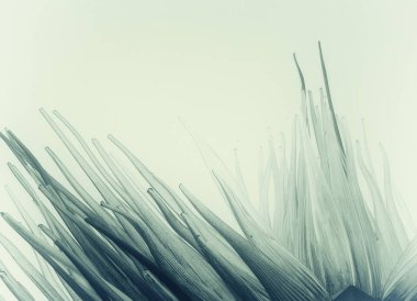 Light effects. Neon glow. Festive decoration. Colorful abstract background