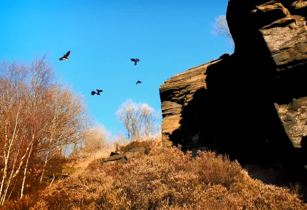 Cuervos volando sobre páramos rocosos aflorados a la luz del sol — Foto de Stock