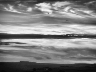 deniz in doğal görünümü, seçici odak