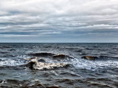deniz in doğal görünümü, seçici odak