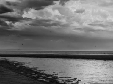 deniz in doğal görünümü, seçici odak