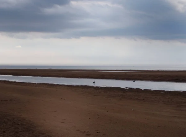 scenic view of river under stormy clouds