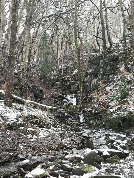 Bosque Cubierto Nieve Con Escarpado Arroyo Ladera Que Corre Sobre — Foto de Stock
