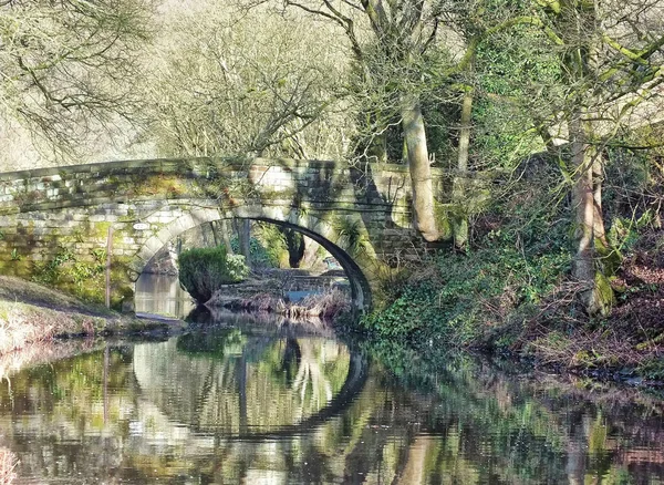 Παλιά Πέτρινη Γέφυρα Που Αντανακλάται Στο Νερό Που Περιβάλλεται Από — Φωτογραφία Αρχείου