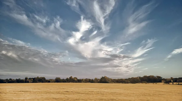 Prachtig Landschap Met Een Veld Van Tarwe Een Bewolkte Lucht — Stockfoto