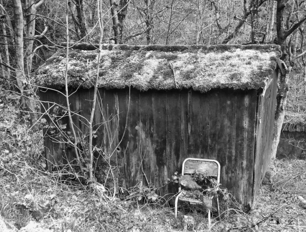 Gamla Övergivna Trä Shack Skogsmark Med Bruten Stol Utanför — Stockfoto