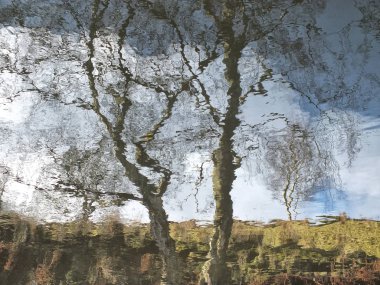 Bir ağacın ve yamacın yansıması. Dalgalanan suyla bulanık mavi bulutlu gökyüzü.